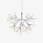 Black Firefly LED Chandelier Chandelier