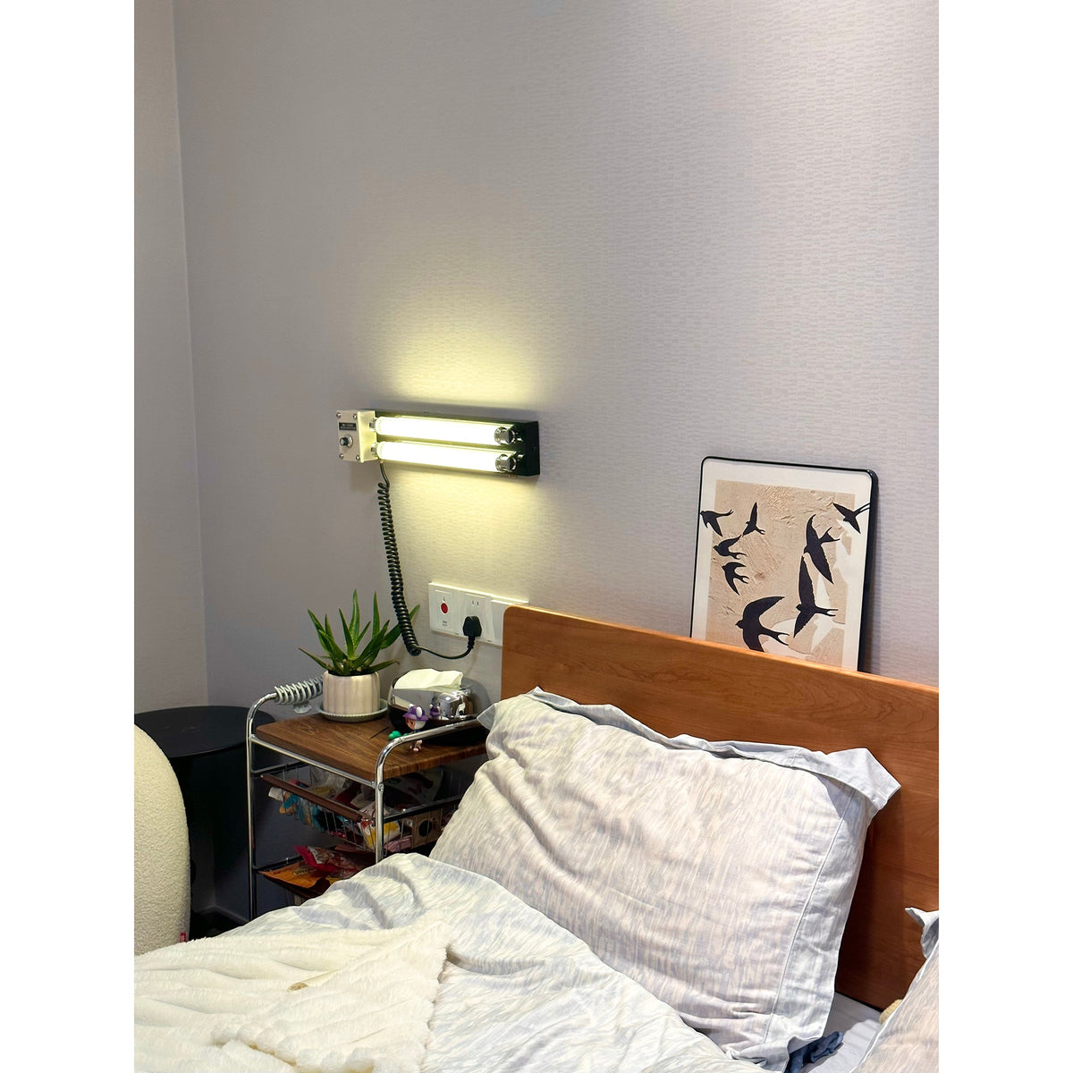 Cutshall Plug-in Wall Lamp