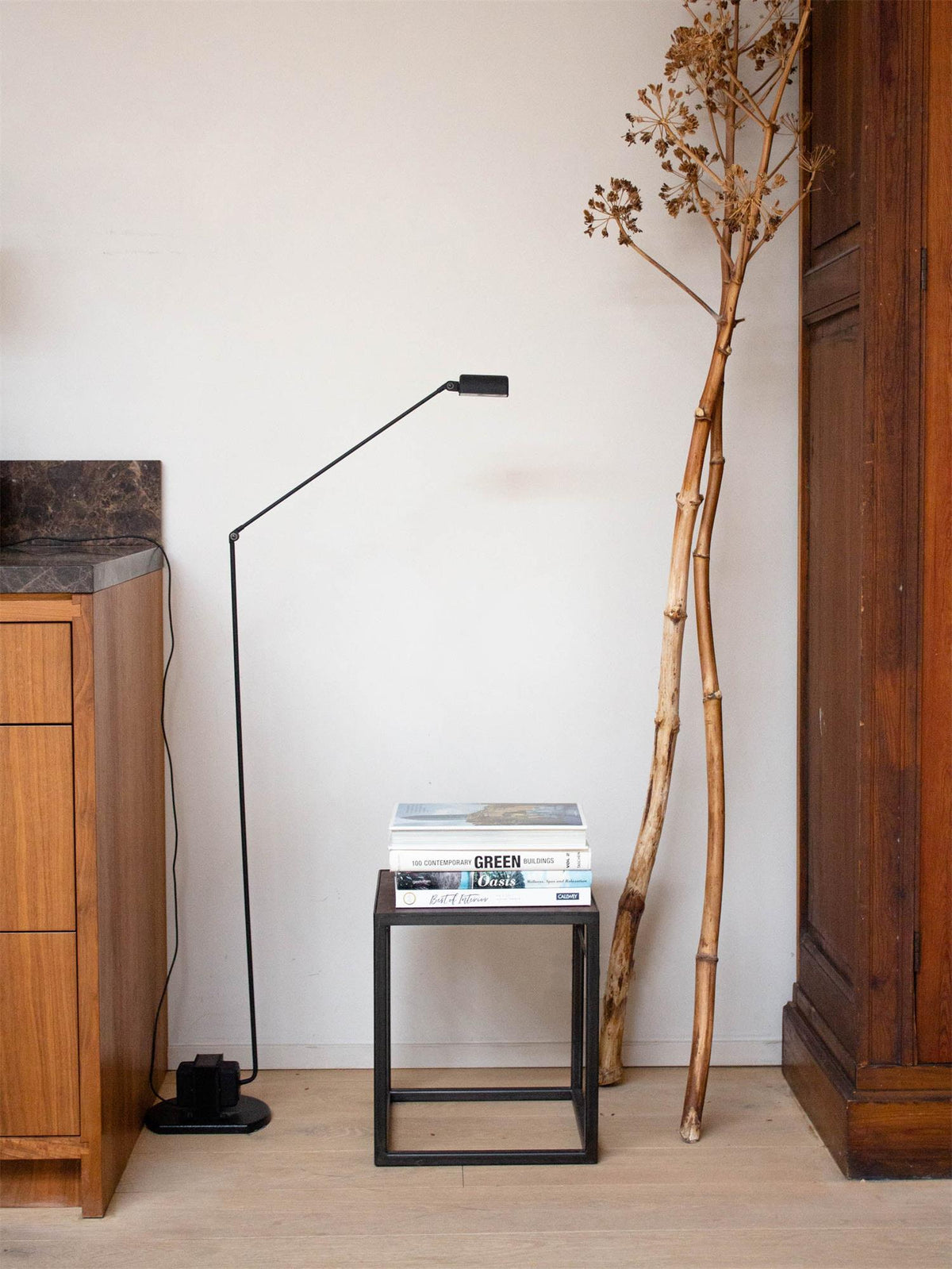 Vector Floor Lamp