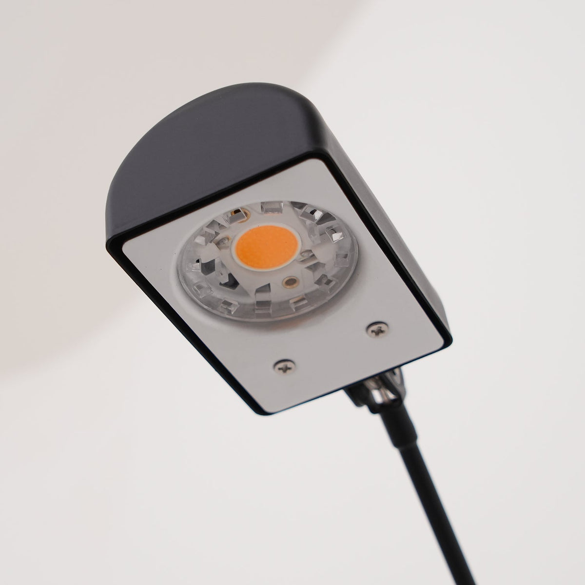 Vector Floor Lamp