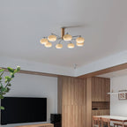 Elliptical Persimmon Chandelier Chandelier