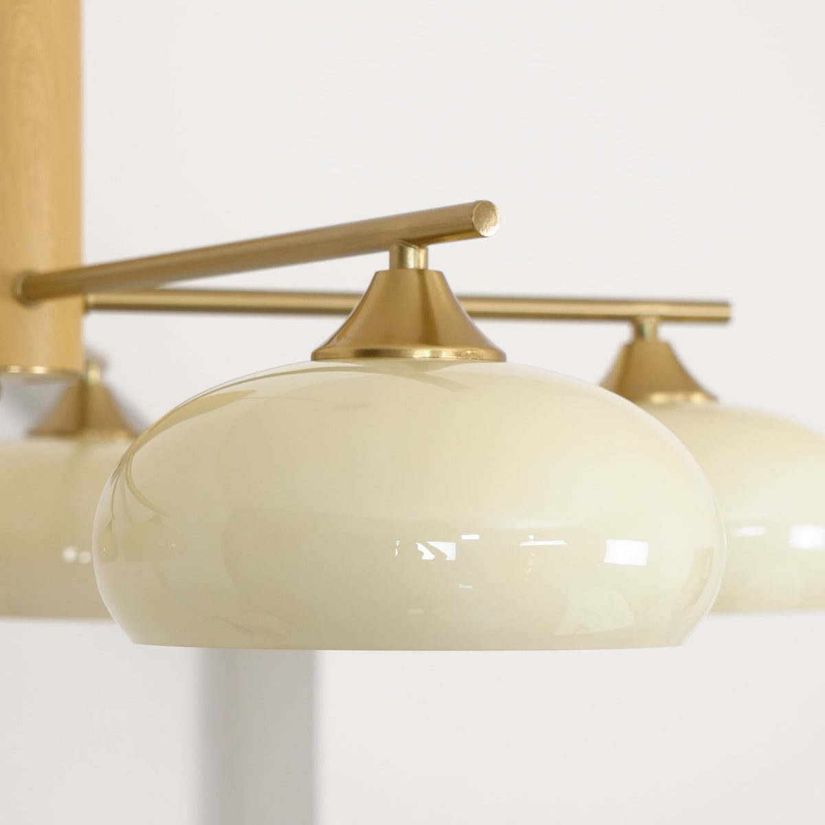 Nova Elliptical Persimmon Chandelier