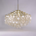 Round Shell Chandelier Chandelier