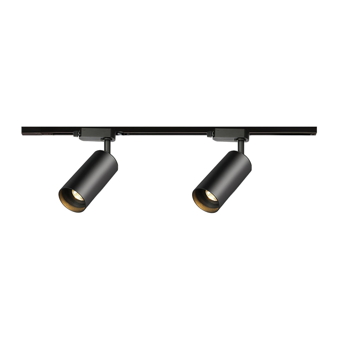 Gilded Rail Track Light 2-Lights L 19.7″ x H 6.7″ / Black Ceiling lamp