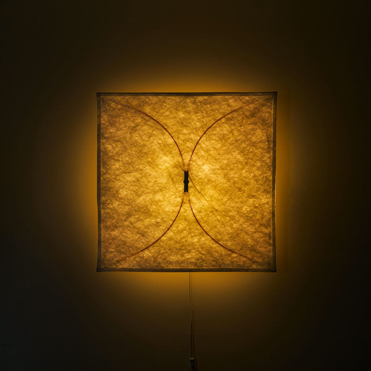 DuPont Paper Plug-in Wall Light