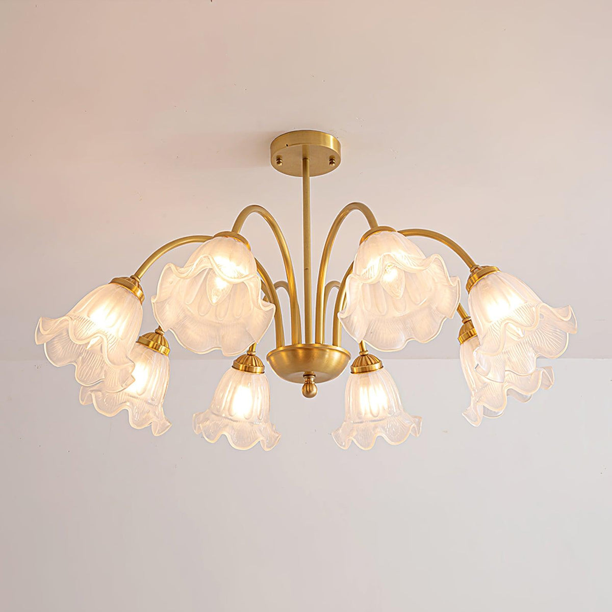Lily Chandelier 8 heads ? 31.5″ x H 11″ / Dia 80cm x H 28cm / Gold + clear 灯具