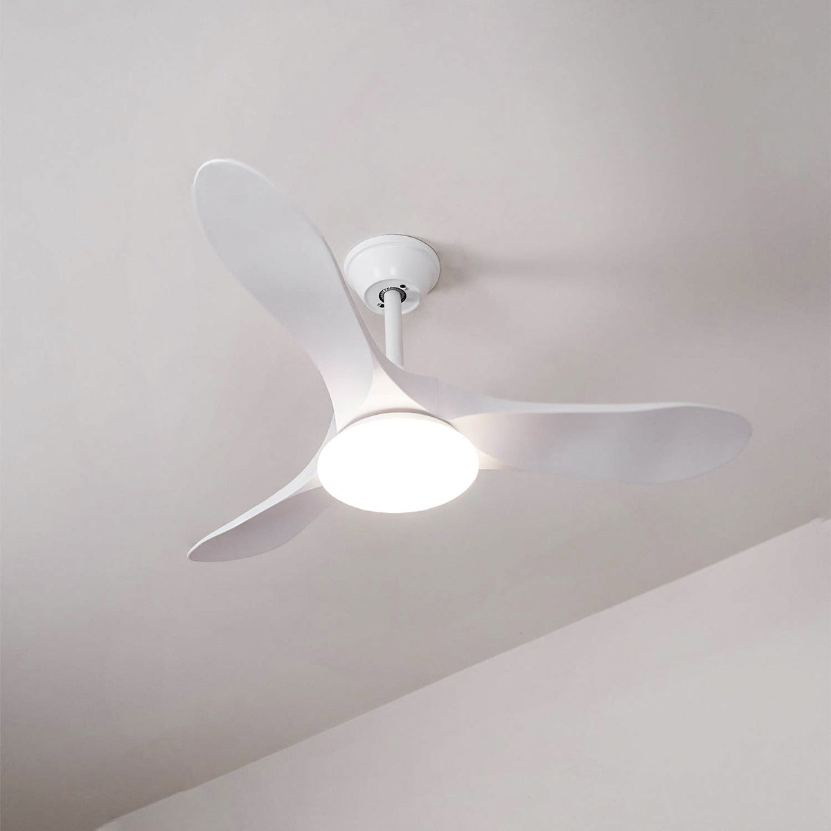 Maverick Ceiling Fan Light