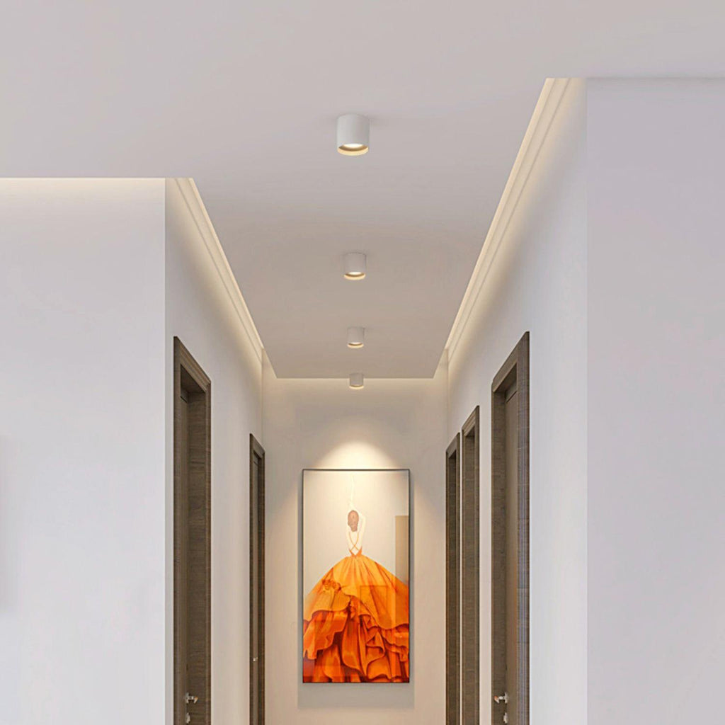 Modupoint Ceiling Light Ceiling lamp