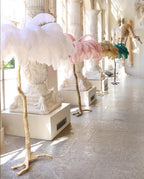 Ostrich Feather Brass Floor Lamp Floor lamp