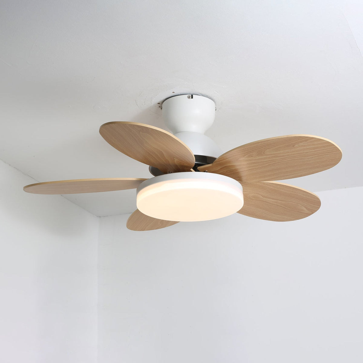 Petalo Ceiling Fan Light White & Wood Grain ? 35.4″ x H 11.0″ / Three-color Changing Light