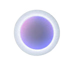 Relax Wall Light ? 23.6″ x H 3.1″ / Dia 60cm x H 8cm~Purple / Warm Light Wall lamp