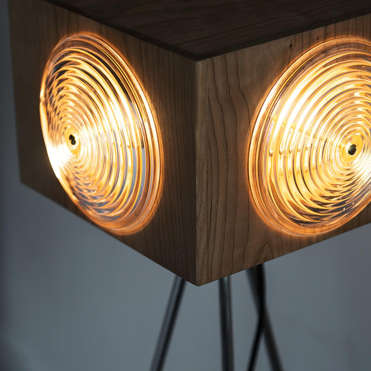Retro Camera Focus Floor Lamp Floor lamp