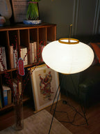 Rice Paper Floor Lamp Floor lamp