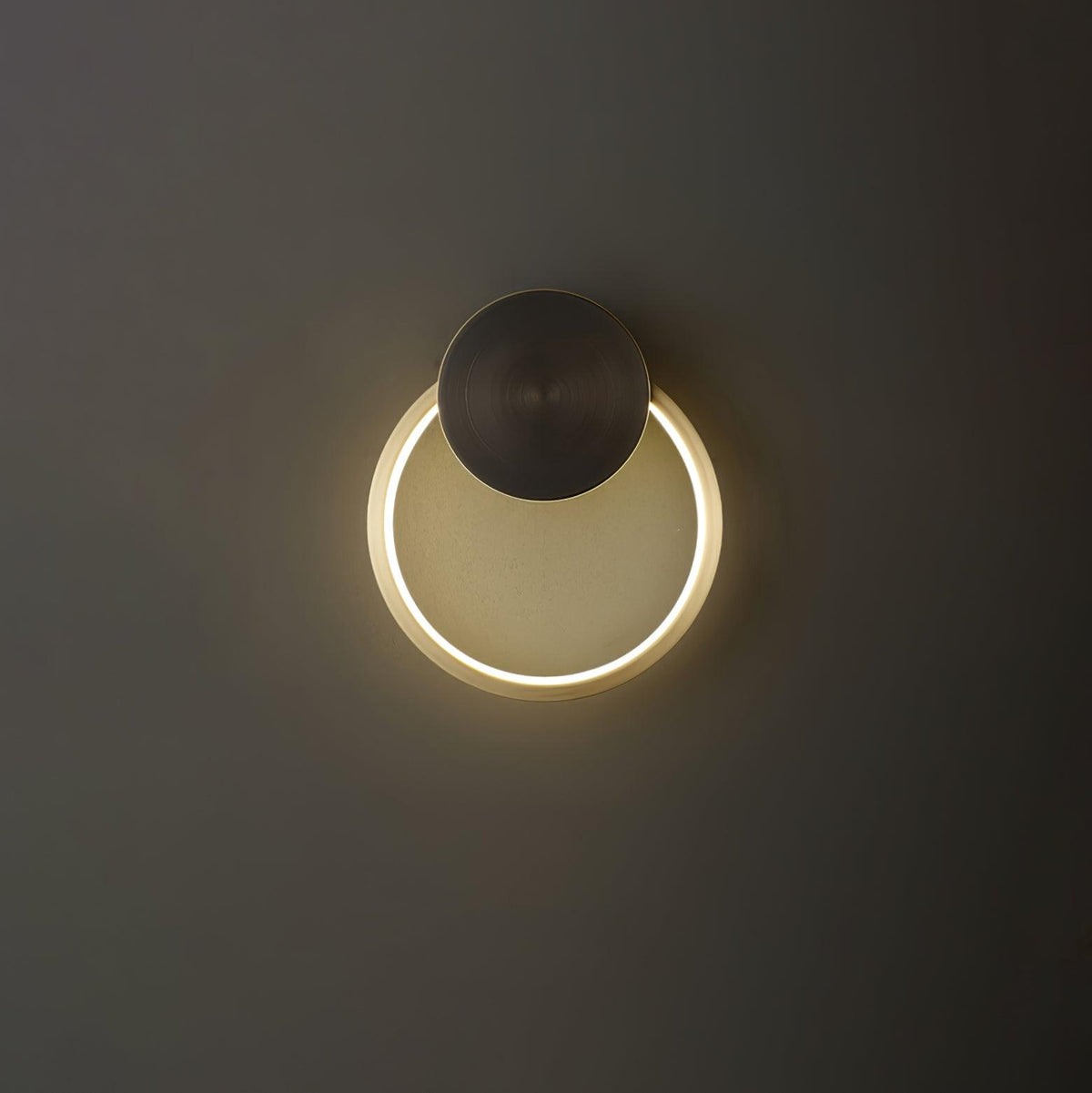 Ring Shaped LED Wall Light Wall lamp