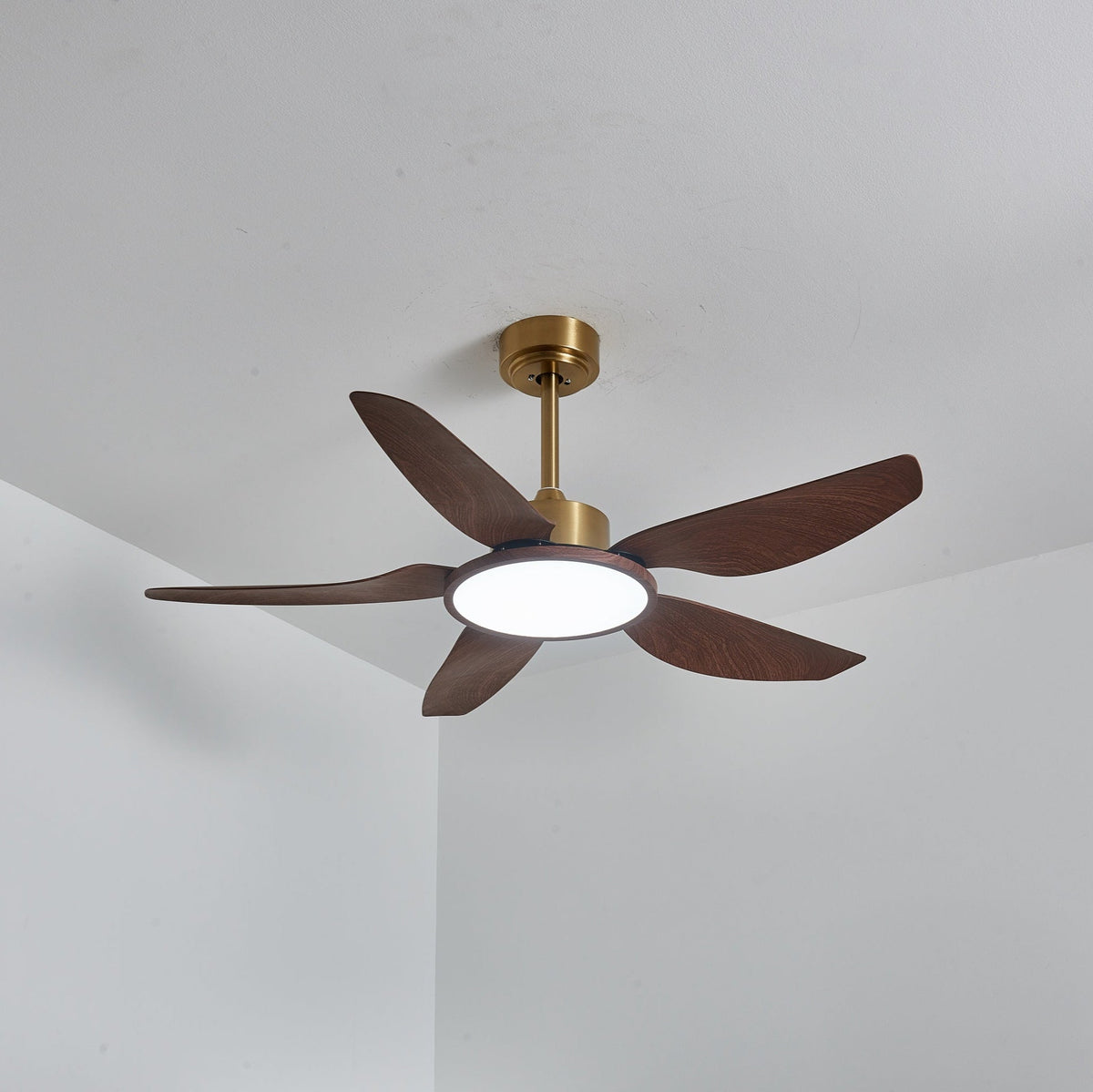Sirocco Breeze Ceiling Fan Light 1001 Ceiling fan light