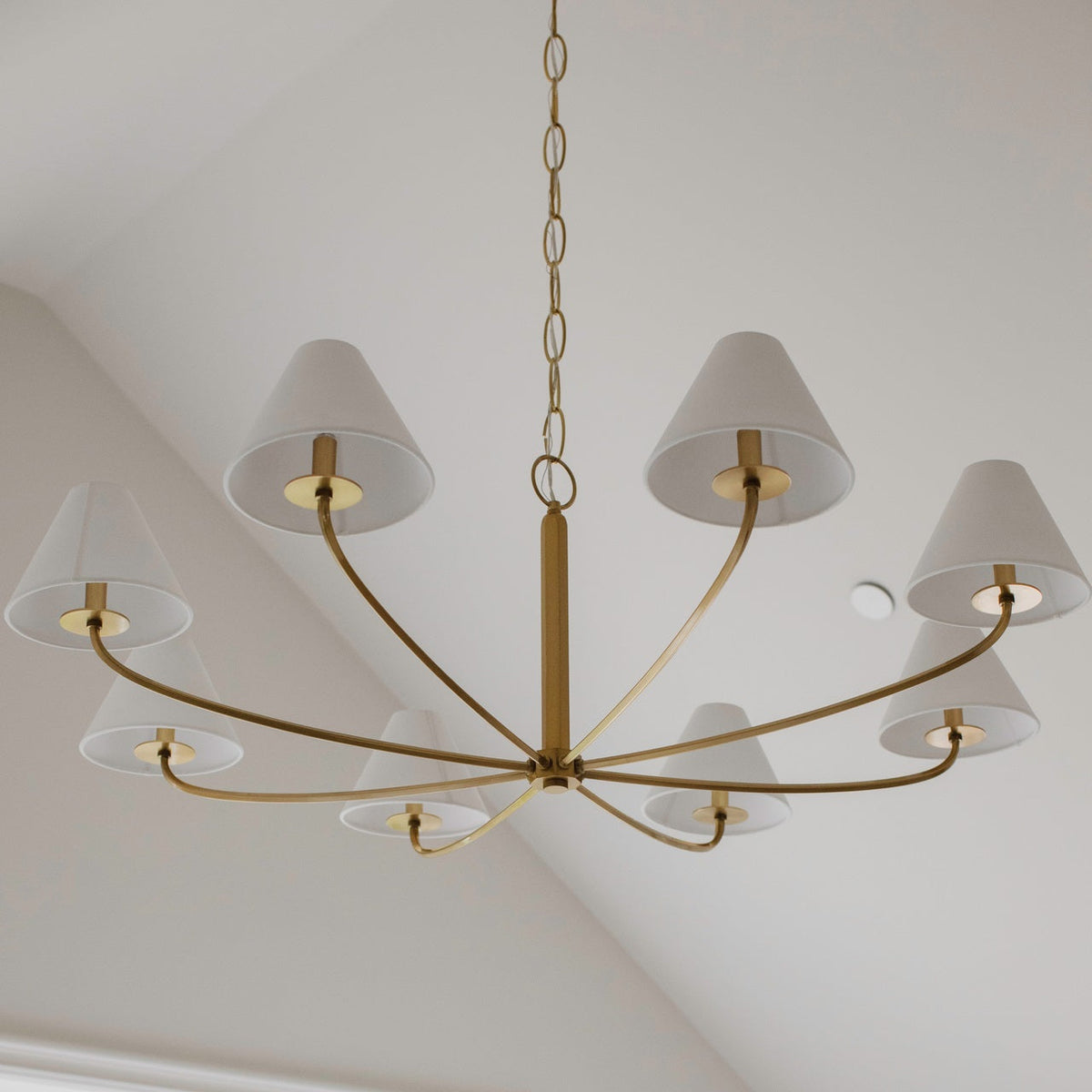 Cormac Chandelier