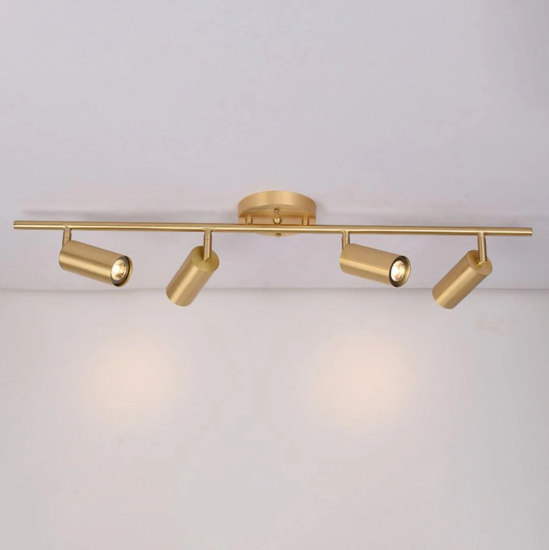 Taylor Adjustable Head Wall/Ceiling Lamp