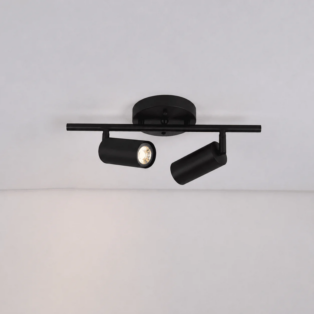 Taylor Adjustable Head Wall/Ceiling Lamp