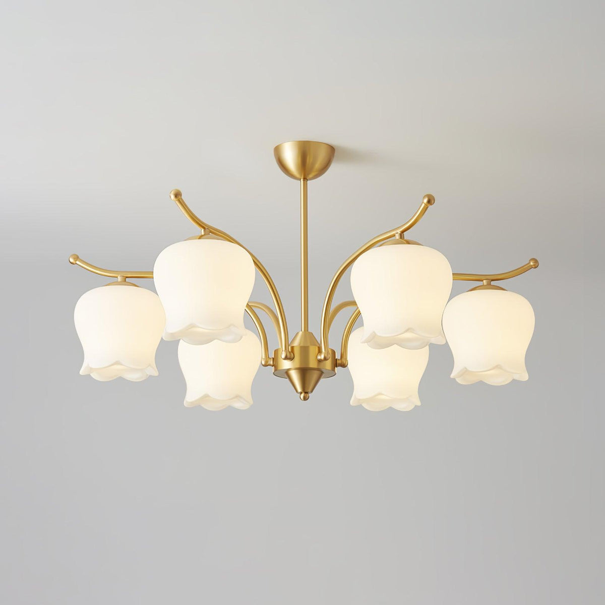 Tulip Brass Chandelier 6 heads ∅ 29.5″ x H 16.5″ / Dia 75cm x H 42cm / Brass & White Chandelier