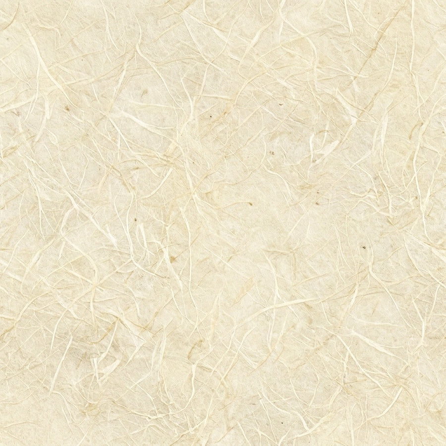 Paper